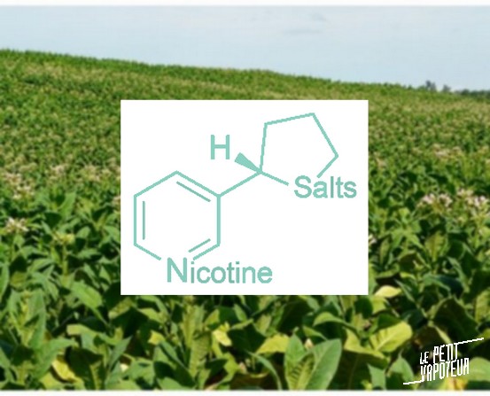 LPV-sels-de-nicotine-blog-le-petit-vapoteur
